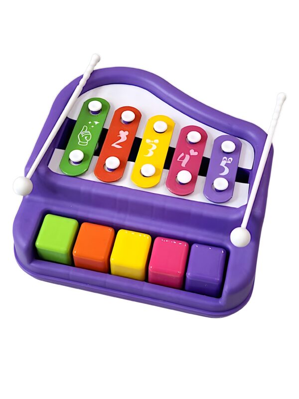 2 in 1 Multicolored Keyboard Mini Piano & Xylophone Educational Musical Learning Instruments Kids Toy